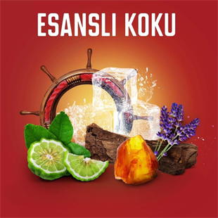 Old Spice Whitewater 3 In1 Duş Jeli+Şampuan 675 ml 