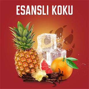 Old Spice Wolfthorn 3 In1 Duş Jeli+Şampuan 400 ml