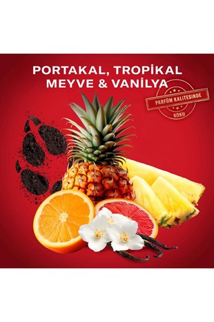 Old Spice Wolfthorn Gamer Seti Deodorant Stick 50 ml + Duş Jeli 250 ml