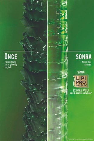 Organix Rosemary Mint (BİBERİYE & NANE IÇEREN) Arındırıcı Şampuan 385 ml