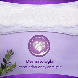 Orkid Normal Günlük Korma Rahatlık 80 Adet Hijyenik Ped 