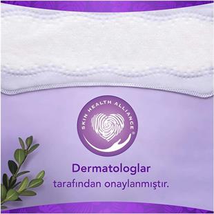 Orkid Normal Günlük Korma Rahatlık 80 Adet Hijyenik Ped 