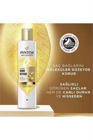 Pantene PRO-V  Bond Repair Yıpranmış Saçlar için Şampuan 250 ml