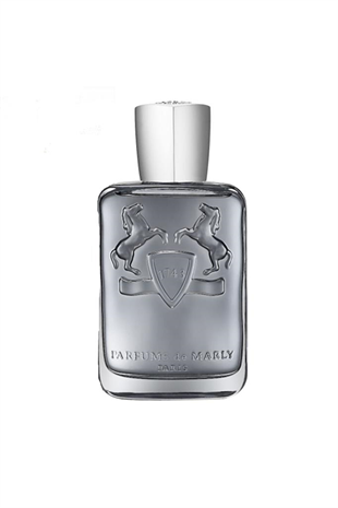 Parfums De Marly Castley EDP 125 ml Erkek Parfüm