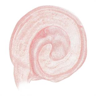 Pastel Moon Light No:100 Likit Highlighter 