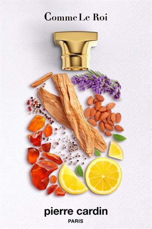 Pierre Cardin Comme Le Roi EDP 100 ml Erkek Parfüm