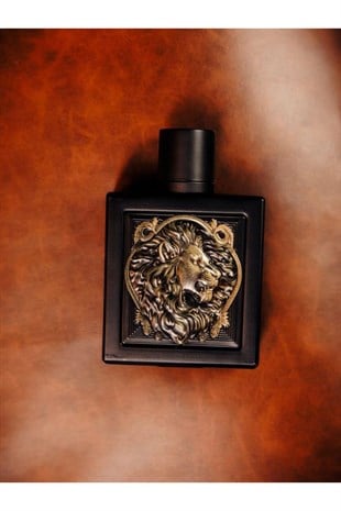 Rayhaan Lion EDP 100 ml Erkek Parfüm