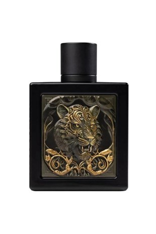 Rayhaan Tiger EDP 100 ml Erkek Parfüm