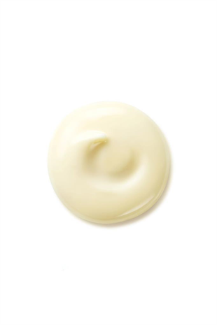 Shiseido Benefiance Wrinkle Smoothing DayCream 50 ml Yüz Bakım Kremi