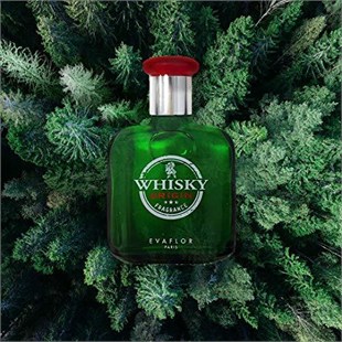 Whisky Origin Fragrance For Men EDT 100 ml Erkek Parfüm