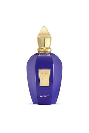 Xerjoff Accento EDP 100 ml Erkek Parfüm