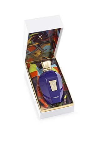 Xerjoff Accento EDP 100 ml Erkek Parfüm