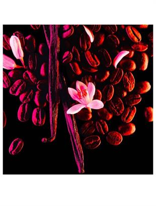 Yves Saint Laurent Black Opium EDP 90 ml Kadın Parfüm