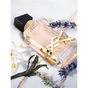 Yves Saint Laurent Libre EDT 50 ml Kadın Parfüm