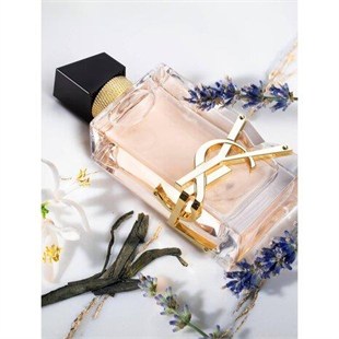 Yves Saint Laurent Libre EDT 50 ml Kadın Parfüm