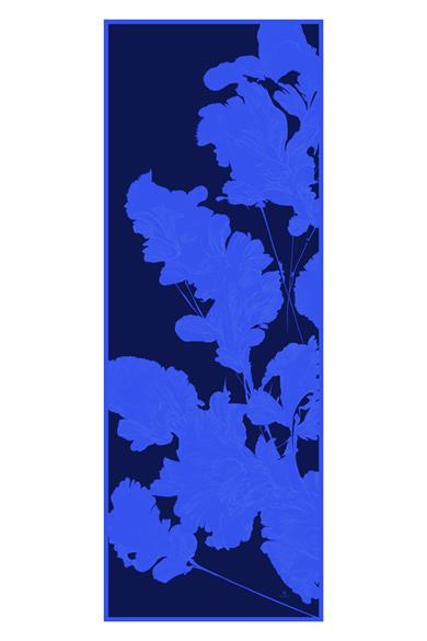 MAHİ PAMUK İPEK ŞAL 70*190 – KOYU MAVİ