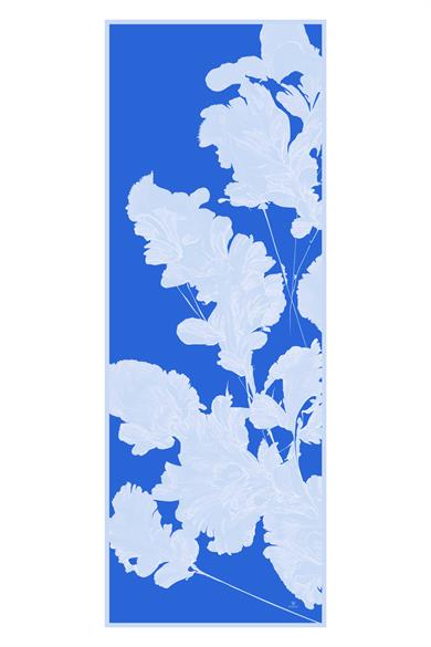 MAHİ PAMUK İPEK ŞAL 70*190 – MAVİ