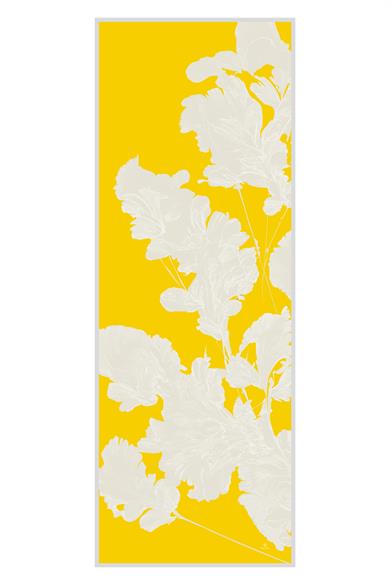 MAHİ PAMUK İPEK ŞAL 70*190 – SARI