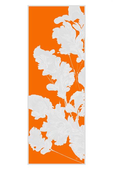 MAHİ PAMUK İPEK ŞAL 70*190 – TURUNCU