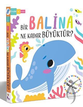 Bir Balina Ne Kadar Büyüktür?