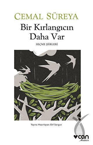 Bir Kırlangıcın Daha Var
