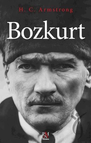 Bozkurt