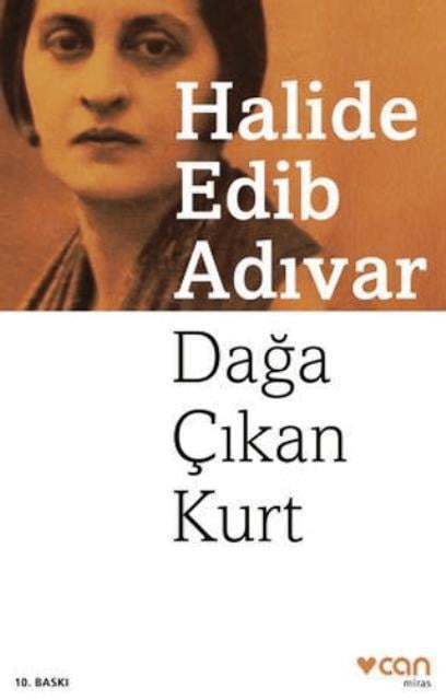 Dağa Çıkan Kurt