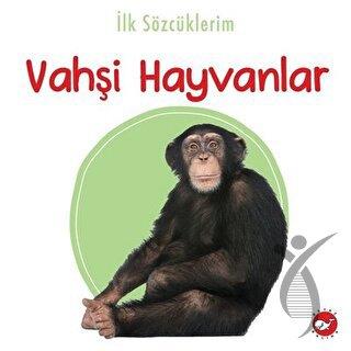 İlk Sözcüklerim Vahşi Hayvanlar