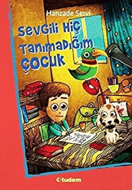 Sevgili Hiç Tanımadığım Çocuk