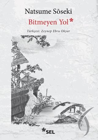 Bitmeyen Yol