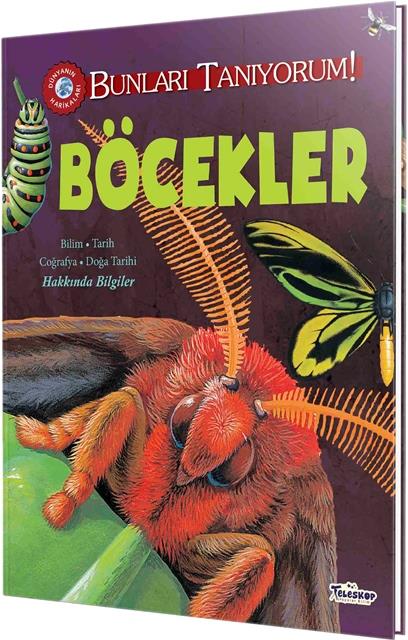 Böcekler - Bunları Tanıyorum!