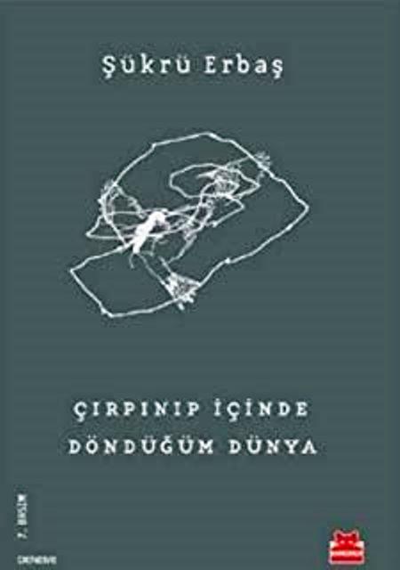Çırpınıp İçinde Döndüğüm Dünya