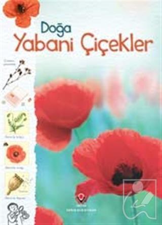 Doğa - Yabani Çiçekler