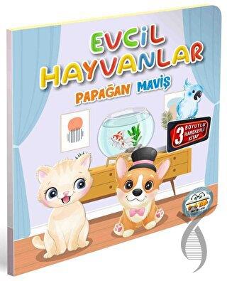 Evcil Hayvanlar Papağan Maviş