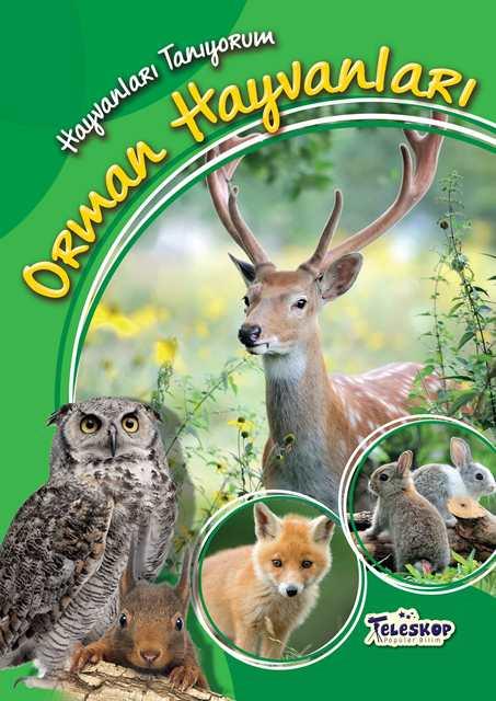 Hayvanları Tanıyorum - Orman Hayvanları