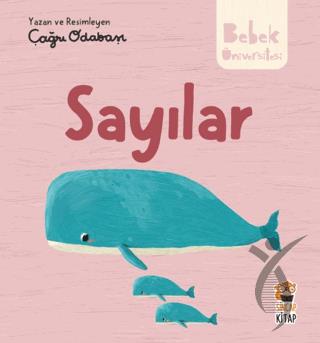 Hikayeli İlk Kavramlarım - Sayılar