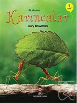İlk Okuma - Karıncalar