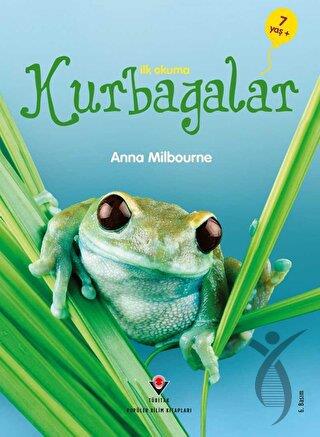 İlk Okuma - Kurbağalar