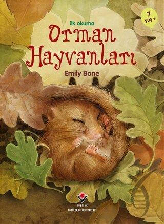 İlk Okuma - Orman Hayvanları
