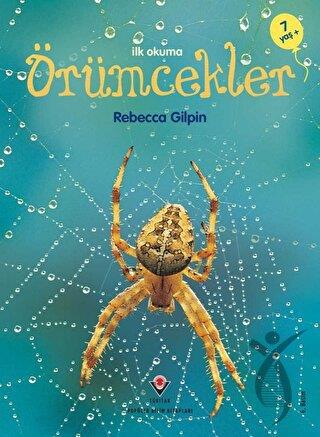 İlk Okuma -  Örümcekler