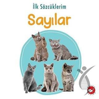 İlk Sözcüklerim Sayılar