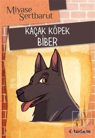 Kaçak Köpek Biber