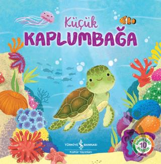Küçük Kaplumbağa