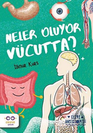 Neler Oluyor Vücutta ?