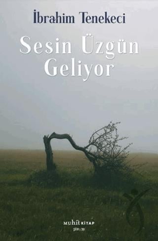 Sesin Üzgün Geliyor