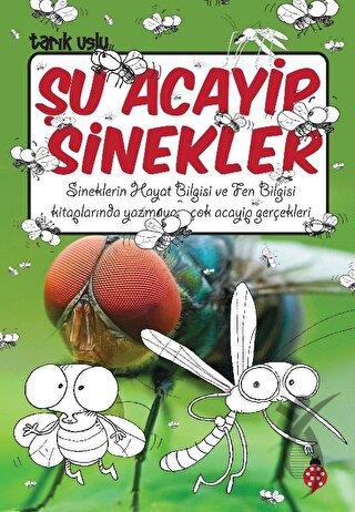 Şu Acayip Sinekler 
