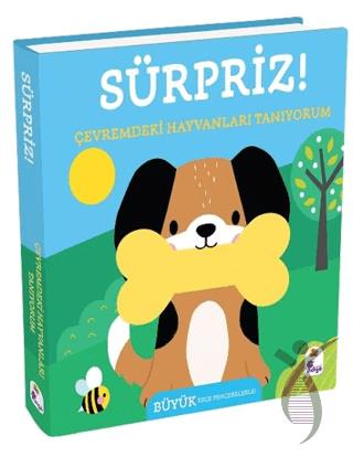 Sürpriz! – Çevremdeki Hayvanları Tanıyorum