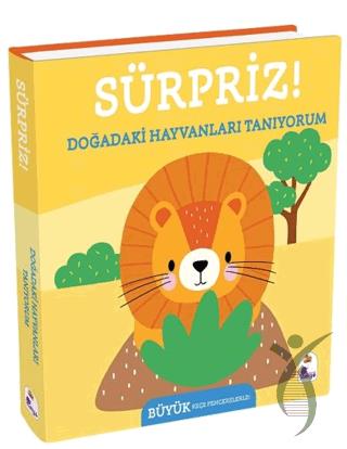 Sürpriz! – Doğadaki Hayvanları Tanıyorum
