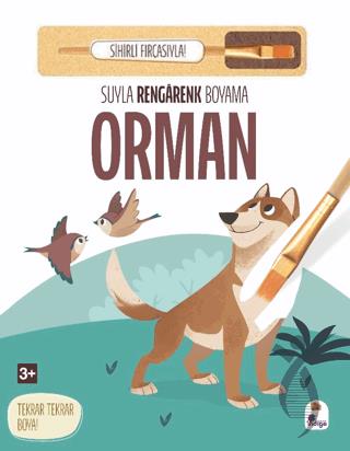 Suyla Rengarenk Boyama - Orman (Sihirli Fırçasıyla)