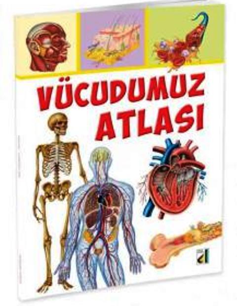 Vücudumuz Atlası
